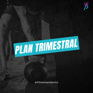 Plan Trimestral